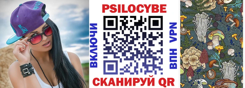 где купить наркоту  Ладушкин  Галлюциногенные грибы мицелий 